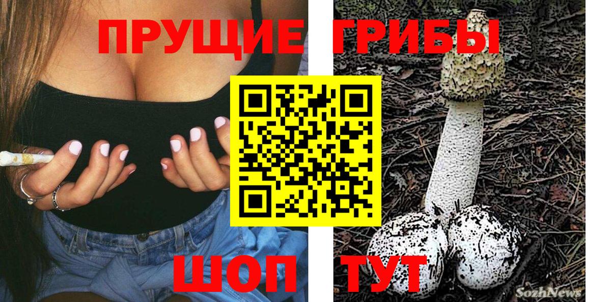 Псилоцибиновые грибы MAGIC MUSHROOMS  Вход с VPN  Галлюциногенные грибы GOLDEN TEACHER  Пятигорск 